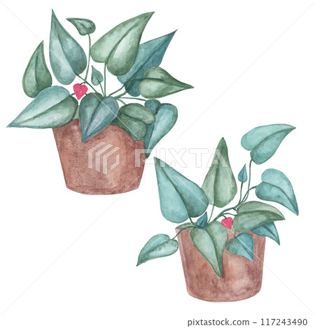 Set of Heart fern plants with pots, watercolor. Pink, green love plant clipart isolated on white background. Mothers, Fathers day hand drawn design for printing, cards, gift wrapping 117243490