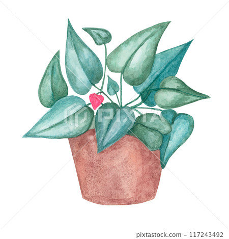 Heart fern plant in a pot, watercolor. Pink, green love plant clipart isolated on white background. Mothers, Fathers day hand drawn design for printing, cards, gift wrapping 117243492