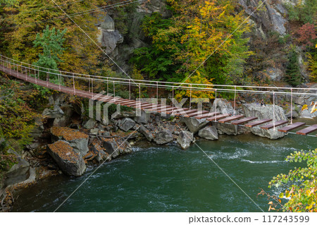 Suspension bridge, walkway to the adventurous, cross to the other side Suspension bridge, walkway to the adventurous, cross to the other side 117243599