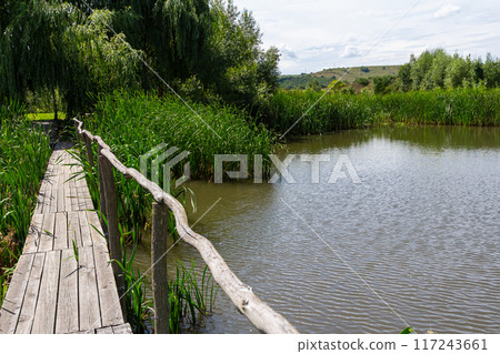 Suspension bridge, walkway to the adventurous, cross to the other side 117243661