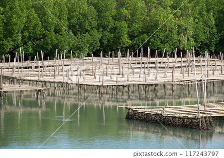 Selective focus of Oyster farm. Selective focus of Oyster farm. 117243797