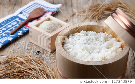 Freshly cooked rice in a rice cooker (against old wood background) Freshly cooked rice in a rice cooker (against old wood background) 117243879