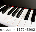Close-up of piano keys 117243902