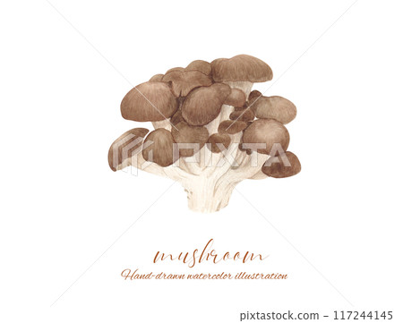 平武的水彩插圖 平武的水彩插圖 117244145