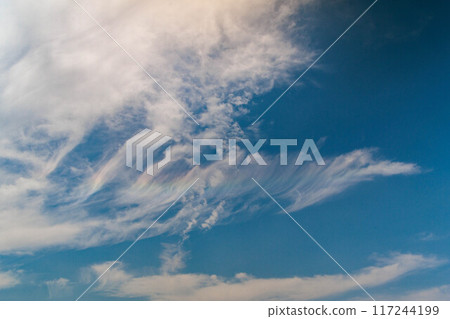 薄薄的雲朵鋪滿藍天 117244199
