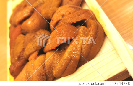 Close-up image of box sea urchin 8 117244788