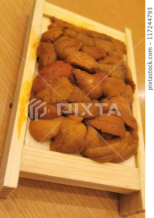 Close-up image of box sea urchin 8 117244793