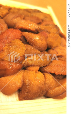 Close-up image of box sea urchin 8 Close-up image of box sea urchin 8 117244796