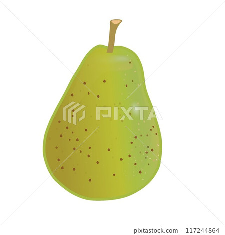 Illustration of pear 117244864