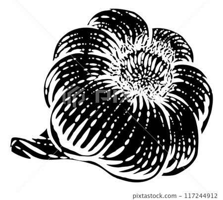 Garlic Vegetable Vintage Woodcut Illustration 117244912