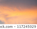 日落在天空的飛鳥 117245029