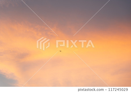 日落在天空的飛鳥 日落在天空的飛鳥 117245029