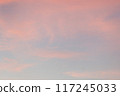 飛機在落日的天空中飛行 117245033