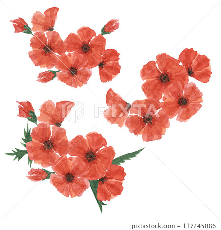 Red poppies bouquets. Poppy day, Armistice flower compositions. Hand drawn watercolor illustration for remembrance card, banners, commemorative events, US Memorial day, Anzac day, flyer, banners, sale 117245086