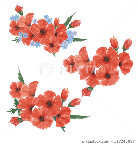 Red poppies and forget-me-nots bouquets. Poppy day flower compositions. Hand drawn watercolor illustration for card, banners, commemorative events, US memorial day, Anzac day, flyers, banners, sale 117245087