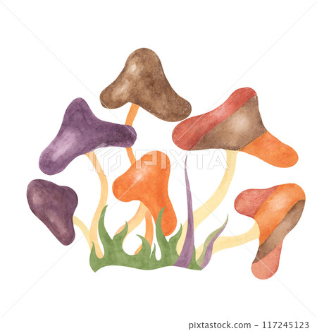 Retro hippie mushroom and grass in 70s style. Hippie psychedelic groovy fungus clipart. Watercolor indie illustration for flower power sticker, nostalgic design, printing, quote, t-shirt cartoon style Retro hippie mushroom and grass in 70s style. Hippie psychedelic groovy fungus clipart. Watercolor indie illustration for flower power sticker, nostalgic design, printing, quote, t-shirt cartoon style 117245123