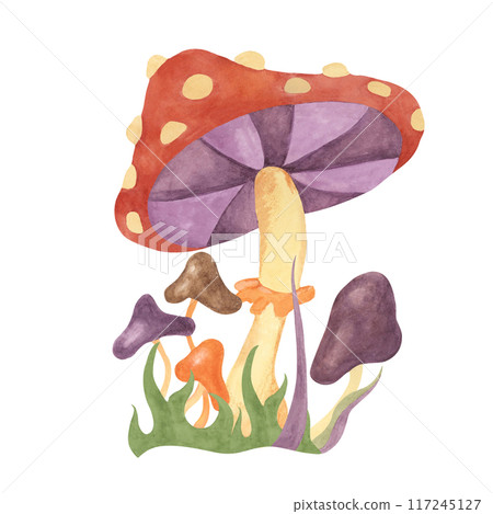 Retro hippie mushrooms and fly agaric in 1970s style. Hippie psychedelic groovy fungus clipart. Watercolor indie illustration for flower power sticker, nostalgic design, printing, quote, t-shirt Retro hippie mushrooms and fly agaric in 1970s style. Hippie psychedelic groovy fungus clipart. Watercolor indie illustration for flower power sticker, nostalgic design, printing, quote, t-shirt 117245127