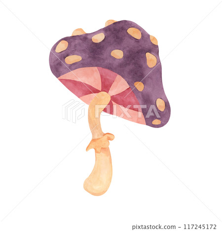 Hippie psychedelic magic mushroom in 70s style. Vintage groovy fly agaric nostalgic clipart. Watercolor fairytale fungus funky illustration for printing, trippy sticker, flyers, indie t-shirts, labels Hippie psychedelic magic mushroom in 70s style. Vintage groovy fly agaric nostalgic clipart. Watercolor fairytale fungus funky illustration for printing, trippy sticker, flyers, indie t-shirts, labels 117245172