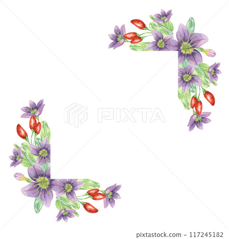 Red goji berries, lilac flowers and green leaves corner frame design. Hand-drawn watercolor illustration for DIY printing, greeting card making, quote, gift tag, label, postcard, square flyer template Red goji berries, lilac flowers and green leaves corner frame design. Hand-drawn watercolor illustration for DIY printing, greeting card making, quote, gift tag, label, postcard, square flyer template 117245182