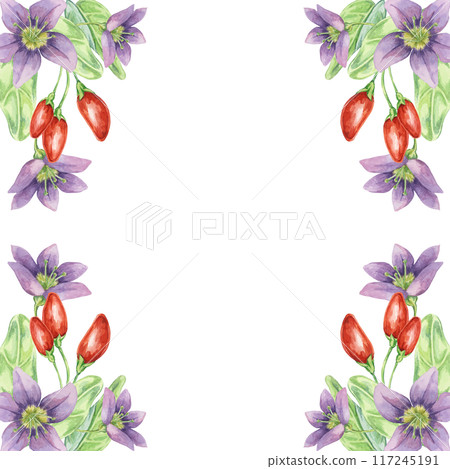 Red goji berries, lilac flowers and green leaves square frame design. Hand-drawn watercolor illustration for DIY printing, greeting card making, quote, gift tag, label, postcard, flyer template Red goji berries, lilac flowers and green leaves square frame design. Hand-drawn watercolor illustration for DIY printing, greeting card making, quote, gift tag, label, postcard, flyer template 117245191