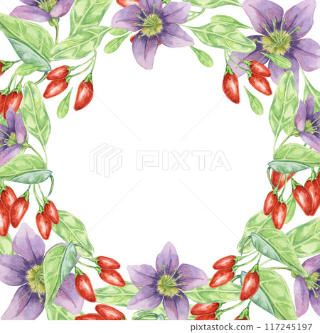 Red goji berries, lilac flowers and green leaves round frame design. Hand-drawn watercolor illustration, isolated for DIY printing, greeting card making, quote, gift tag, label, circle template 117245197