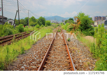Local train: Expressing the perspective of the tracks Local train: Expressing the perspective of the tracks 117245746