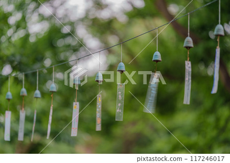 南風鈴 南風鈴 117246017
