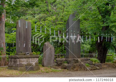 Southern wind chimes 117246018