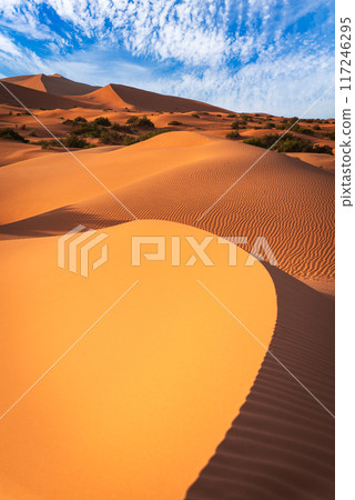 Merzouga, Morocco. Sand dunes in the Sahara Desert, North Africa - Erg Chebbi dunes. 117246295