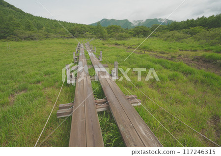 Mawahara Mire在夏天 Mawahara Mire在夏天 117246315