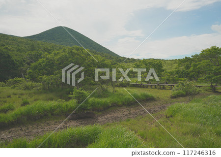Mawahara Mire在夏天 Mawahara Mire在夏天 117246316