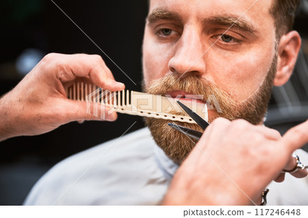 Close-up photo of professional hairdresser using comb and scissors to shape beard. Handsome customer getting his beard done. 117246448