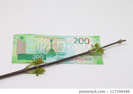 On the banknote there is a branch with blossoming buds, tender green leaves, s On the banknote there is a branch with blossoming buds, tender green leaves, s 117246486
