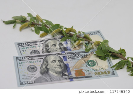On the banknote there is a branch with blossoing buds, tender green leaves, spring On the banknote there is a branch with blossoing buds, tender green leaves, spring 117246540