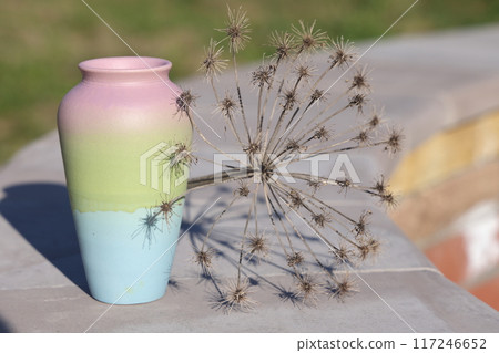 Dried decorative umbellate flowers in a ceramic vase close-up. Floral background. 117246652