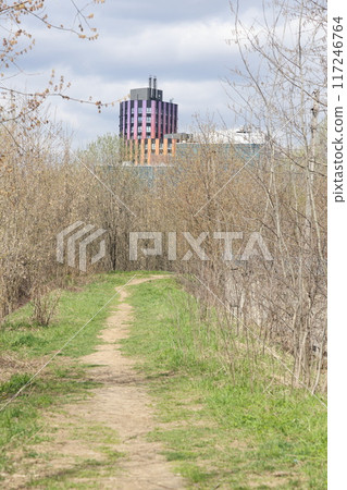 Tree on the background of residential home, spring, leaves bloom, spring background. 117246764