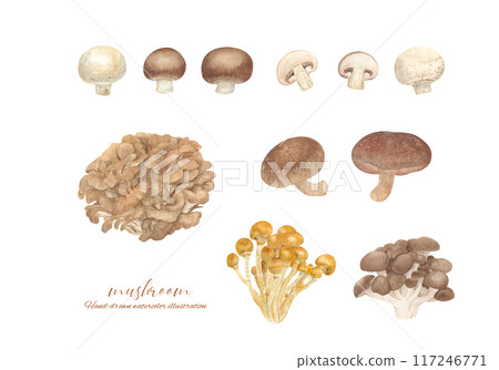 Watercolor mushroom cartoon set 117246771