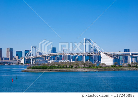 Rainbow Bridge from the observation deck of Odaiba Seaside Park (Minato Ward, Tokyo) 117246892