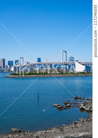從台場海濱公園（東京都港區）觀景台看到的彩虹橋 117246895