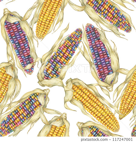 Indian heirloom and Yellow sweetcorn seamless pattern, cobs textile, dense complex background. Watercolor print for clothes, wallpaper, wrapping paper, scrapbooking, food packaging, Thanksgiving Indian heirloom and Yellow sweetcorn seamless pattern, cobs textile, dense complex background. Watercolor print for clothes, wallpaper, wrapping paper, scrapbooking, food packaging, Thanksgiving 117247001