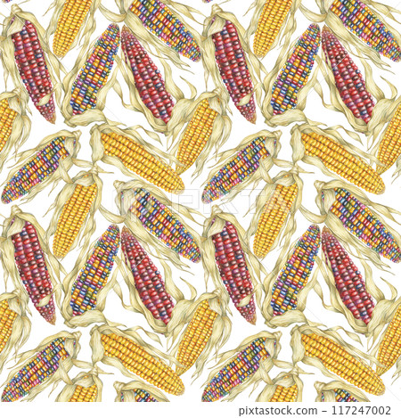 Indian heirloom and Yellow sweetcorn seamless pattern, cobs textile, dense complex background. Watercolor print for clothes, wallpaper, wrapping paper, scrapbooking, food packaging, Thanksgiving Indian heirloom and Yellow sweetcorn seamless pattern, cobs textile, dense complex background. Watercolor print for clothes, wallpaper, wrapping paper, scrapbooking, food packaging, Thanksgiving 117247002