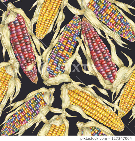 Indian heirloom and Yellow sweetcorn seamless pattern, cobs textile, dense complex background. Watercolor print for clothes, wallpaper, wrapping paper, scrapbooking, food packaging, Thanksgiving Indian heirloom and Yellow sweetcorn seamless pattern, cobs textile, dense complex background. Watercolor print for clothes, wallpaper, wrapping paper, scrapbooking, food packaging, Thanksgiving 117247004