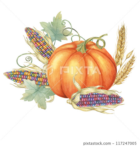 Orange pumpkin with multicolored corn cobs and golden wheat stalks, accented by green leaves. Clipart for festive fall decorations, Thanksgiving table settings, and harvest festival marketing Orange pumpkin with multicolored corn cobs and golden wheat stalks, accented by green leaves. Clipart for festive fall decorations, Thanksgiving table settings, and harvest festival marketing 117247005