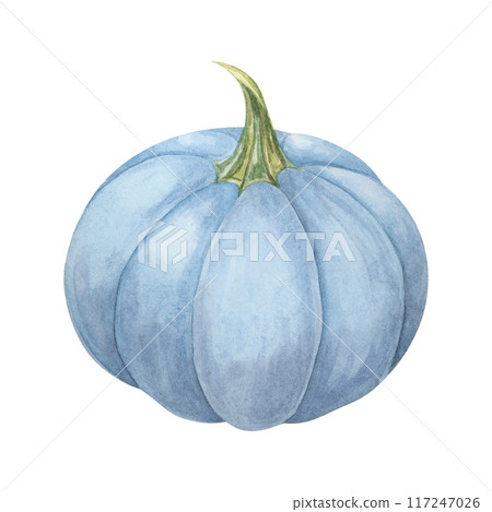 Blue pumpkin watercolor illustration. Pastel colored autumn vegetable. Squash clipart for seasonal modern decor, Thanksgiving cards and invitations, festive merchandise and social media, scrapbooking 117247026