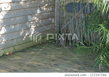 Wooden wall and floor old barn on beach. Leaves and stalks of reeds. Background for text and design. Wooden wall and floor old barn on beach. Leaves and stalks of reeds. Background for text and design. 117247168