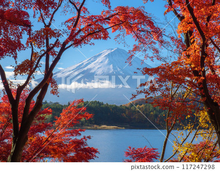 Mountain fuji with red maple in Autumn, Kawaguchiko Lake, Japan Mountain fuji with red maple in Autumn, Kawaguchiko Lake, Japan 117247298