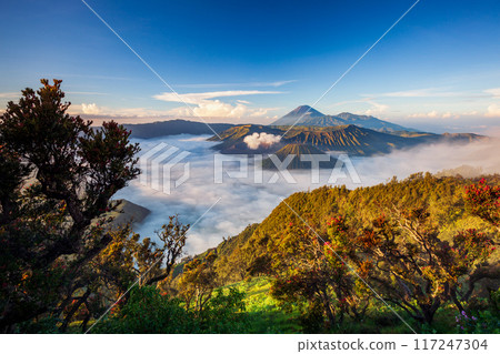 Bromo volcano at sunrise, East Java, Indonesia 117247304