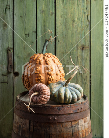 Musquee de Maroc, Black Futsu, and Chinese Butternut Pumpkins on a Wooden Barrel 117247461