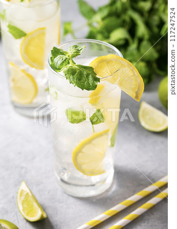 Mojito drink with fresh lemons. Refreshing cocktail with lime, lemon, mint and ice in a tall glass Mojito drink with fresh lemons. Refreshing cocktail with lime, lemon, mint and ice in a tall glass 117247524