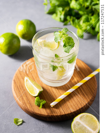 Mojito drink with fresh lemons. Refreshing cocktail with lime, lemon, mint and ice Mojito drink with fresh lemons. Refreshing cocktail with lime, lemon, mint and ice 117247531